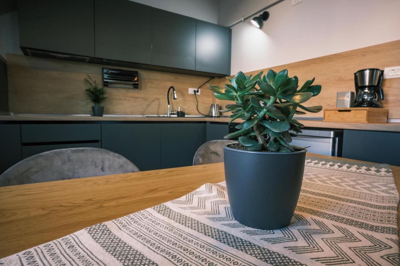 Popa Apartment Cluj-Napoca Eksteriør billede